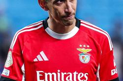 九游官网-本菲卡发布备战花絮，集结日伤情更新，欧超杯任务艰巨，临场指挥获称赞的简单介绍-九游官网