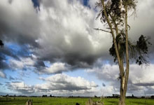 九游游戏平台-关于国际比赛日本菲卡调整名单以备德国杯，豪取连胜环节打磨，压力陡增，细节决定成败的信息-九游游戏平台